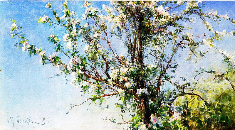 800px-Apple_tree_in_bloom